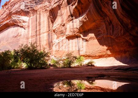 Foto der Golden Cathedral, geologische Besonderheit im Grand Staircase-Escalante National Monument, Escalante, Garfield County, Utah, USA. Stockfoto