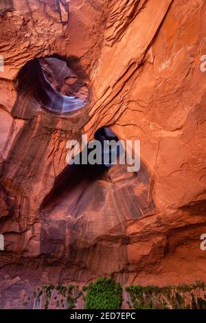 Foto der Golden Cathedral, geologische Besonderheit im Grand Staircase-Escalante National Monument, Escalante, Garfield County, Utah, USA. Stockfoto