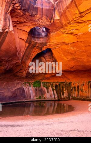 Foto der Golden Cathedral, geologische Besonderheit im Grand Staircase-Escalante National Monument, Escalante, Garfield County, Utah, USA. Stockfoto