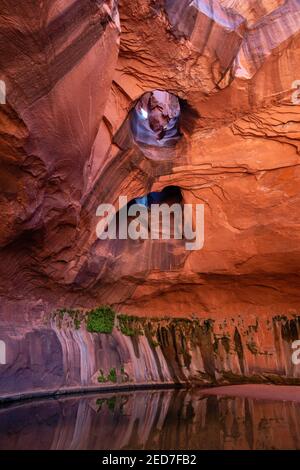 Foto der Golden Cathedral, geologische Besonderheit im Grand Staircase-Escalante National Monument, Escalante, Garfield County, Utah, USA. Stockfoto