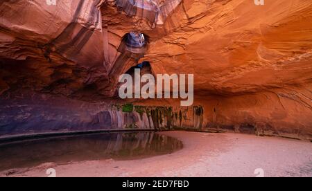 Foto der Golden Cathedral, geologische Besonderheit im Grand Staircase-Escalante National Monument, Escalante, Garfield County, Utah, USA. Stockfoto