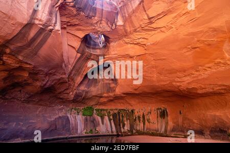 Foto der Golden Cathedral, geologische Besonderheit im Grand Staircase-Escalante National Monument, Escalante, Garfield County, Utah, USA. Stockfoto