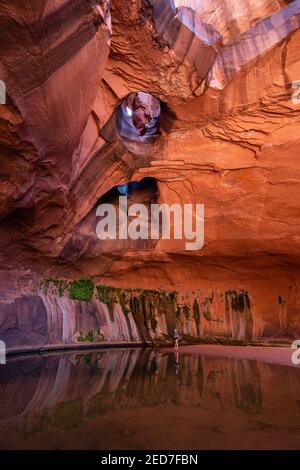 Foto der Golden Cathedral, geologische Besonderheit im Grand Staircase-Escalante National Monument, Escalante, Garfield County, Utah, USA. Stockfoto