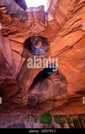 Foto der Golden Cathedral, geologische Besonderheit im Grand Staircase-Escalante National Monument, Escalante, Garfield County, Utah, USA. Stockfoto