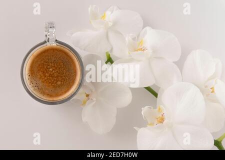 Schwarzer Kaffee in einer Glasschale und Untertasse mit Weiß Blumen um ihn herum Stockfoto