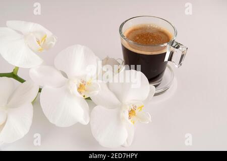 Schwarzer Kaffee in einer Glasschale und Untertasse mit Weiß Blumen um ihn herum Stockfoto