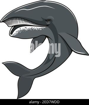Walvektor Symbol für Maskottchen Symbol. Isolierte Meer oder Ozean Tier cachalot von gezahnten großen Wal Säugetier Fische mit massiven großen Kopf für Sport-Team emble Stock Vektor