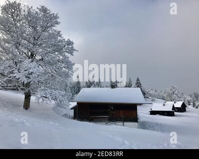 Ferienhaus mit verschneiten Einzelbaum, Winterwunderland. Die Holzhütten liegen direkt an der frisch verschneiten Skipiste. Magic travel Bödele Dornbirn Stockfoto