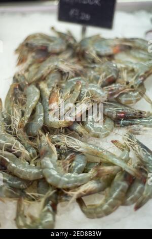 Nahaufnahme von ungekochten Garnelen, frisch auf einem Bett aus zerkleinertem Eis, auf Kotors Hauptmarkt am Kai in Kotor Bay arrangiert. Stockfoto