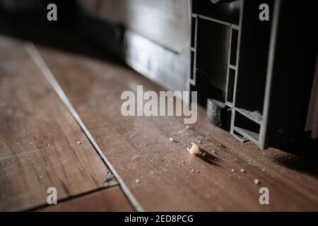 Nahaufnahme von Staub und Krümeln auf dem Boden Stockfoto