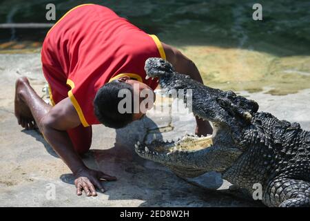 Ein Darsteller, der seinen Kopf zwischen die klaffenden Fangzähne eines Krokodils während einer Show in der Samutprakarn Crocodile Farm and Zoo setzt.die Farm und der Zoo behaupten, die weltweit größte Krokodilfarm mit Süßwasser-Krokodilen und Krokodilen im Meer zu sein. Mehr als 40.000 Zeichen und Angebote. Shows wie der Alligator Kampf, um Touristen zu ziehen wieder inmitten der Coronavirus Ausbruch. Stockfoto