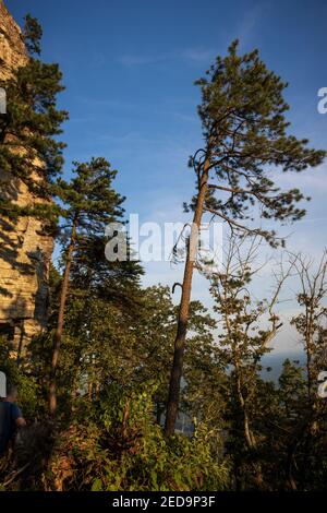 Nahaufnahme von Big Pinnacle, Pilot Mountain State Park, North Carolina Stockfoto