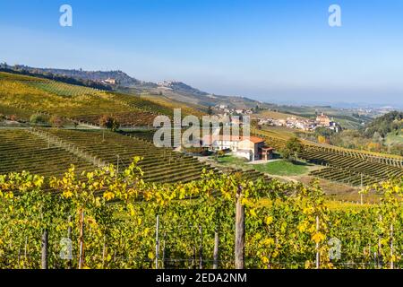 Landschaft mit Weinbergen in der Nähe von Barolo während der Herbstsaison, Region Piemont, Italien Stockfoto