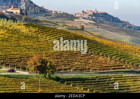 Malerische Landschaft der Langhe Weinberge im Herbst mit der Stadt La Morra auf dem Hügel im Hintergrund, Piemont, Italien Stockfoto