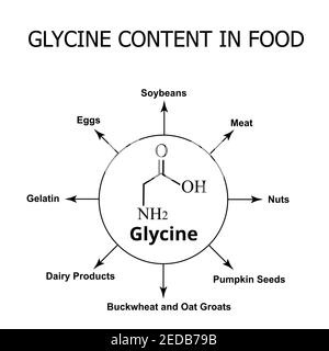 Glycingehalt in Lebensmitteln. Aminosäure Glycin chemische molekulare Formel. Vektorgrafik auf isoliertem Hintergrund Stock Vektor