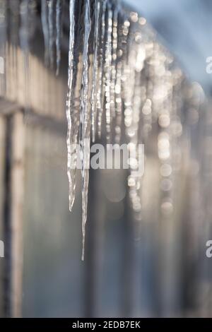 Scharfe Eiszapfen auf dem Dach des Gewächshauses im sonnigen Winter Tag auf der Sonnenseite Stockfoto