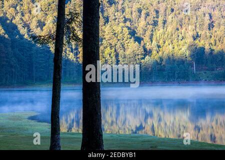 Der Laguna Larga See bei Sonnenaufgang in Los Azubres, Michoacan, Mexiko. Stockfoto