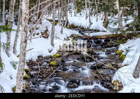 CLE Elum, WA, USA - Januar 23 2021: Creek läuft zum Lake Kachess Stockfoto