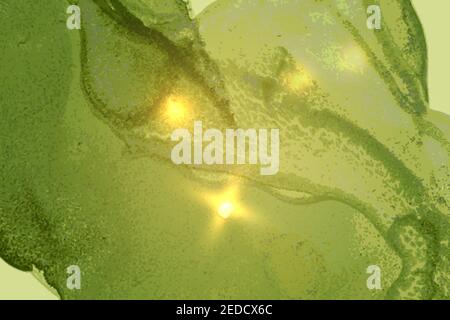 Hellgrünes Marmormuster mit goldenem Staub. Abstrakter Vektor-Hintergrund in Alkoholtinte Technik. Moderne Farbe mit Glitzer. Vorlage für Banner, Pos. Stock Vektor