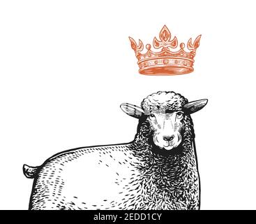 Vektor Stylized Close Up Illustration der Königin Schafe mit einer Krone über dem Kopf und lustig überrascht Gesichtsausdruck. Cartoon-Illustration der Stock Vektor