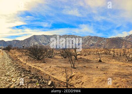 Nachwirkungen der kalifornischen Brände 2020 im Angeles National Forest. Fotos aufgenommen in der Nähe der Devils Punchbowl Wanderweg Februar 2021. Stockfoto