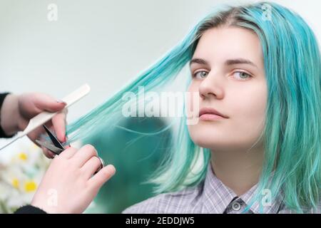 Friseur Schneiden mit Schere lange grüne Haare der jungen Frau. Haarpflege im professionellen Schönheitssalon Stockfoto