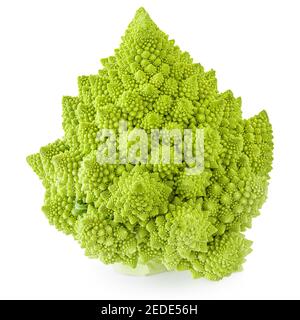 Romanesco Brokkoli isoliert auf weißem Hintergrund. Grüne römische Blumenkohl Gemüse Clouse up Stockfoto