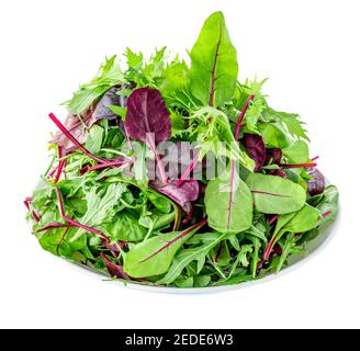 Salatblätter auf einem Teller isoliert auf weißem Hintergrund. Mischen Sie frische Rucola-Blätter, Salat und Spinat Stockfoto