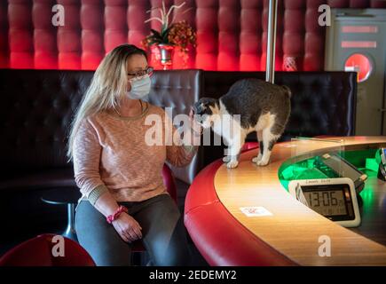 Speyer, Deutschland. Januar 2021, 18th. Die Bordellbetreiberin Laura W. sitzt in der verlassenen Bar ihres Establishments "Laura's Girls" in einem Industriepark in Speyer. Wo Prostituierte normalerweise auf Kunden warten, gibt es eine gähnende Leere in der Corona-Sperre. Es ist noch nicht klar, wann Bordelle wieder geöffnet werden dürfen. (To dpa 'Rotlichtgeschäft leidet auch unter der Sperre' vom 15,02.2021') Quelle: Boris Roessler/dpa/Alamy Live News Stockfoto