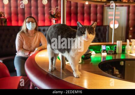 Speyer, Deutschland. Januar 2021, 18th. Die Bordellbetreiberin Laura W. sitzt in der verlassenen Bar ihres Establishments "Laura's Girls" in einem Industriepark in Speyer. Wo Prostituierte normalerweise auf Kunden warten, gibt es eine gähnende Leere in der Corona-Sperre. Es ist noch nicht klar, wann Bordelle wieder geöffnet werden dürfen. (To dpa 'Rotlichtgeschäft leidet auch unter der Sperre' vom 15,02.2021') Quelle: Boris Roessler/dpa/Alamy Live News Stockfoto