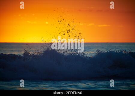 Strahlender Sonnenuntergang über dem Pazifischen Ozean, aufgenommen vom Santa Teresa Beach, Costa Rica Stockfoto