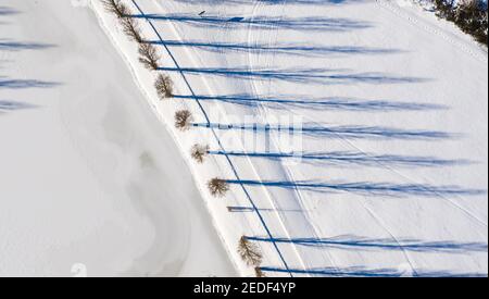 11. Februar 2021, Sachsen-Anhalt, Wörlitz: Pappeln werfen lange Schatten in den Schnee. Aufgrund der anhaltend niedrigen Temperaturen bleibt der Winter noch einige Tage. (Luftaufnahme mit Drohne) Foto: Jan Woitas/dpa-Zentralbild/ZB Stockfoto