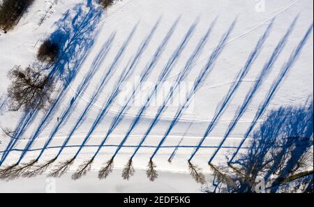 11. Februar 2021, Sachsen-Anhalt, Wörlitz: Pappeln werfen lange Schatten in den Schnee. Aufgrund der anhaltend niedrigen Temperaturen bleibt der Winter noch einige Tage. (Luftaufnahme mit Drohne) Foto: Jan Woitas/dpa-Zentralbild/ZB Stockfoto