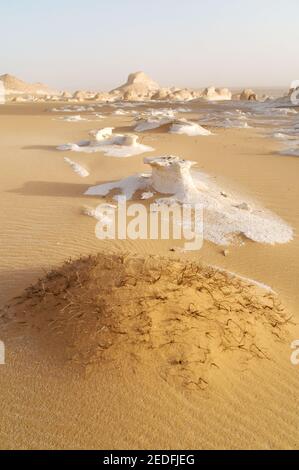 Weiße Kalkfelsen und Inselberge gemischt mit Sand im White Desert National Park, in der Farfara Depression, Sahara-Region, von Ägypten. Stockfoto