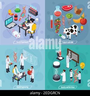 Genetik 2x2 Design-Konzept mit genetischen Experimenten gentechnische Produkte Mit gmo und Wissenschaft zukünftige Kompositionen flache Vektor-Illustration Stock Vektor