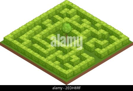 Garten Labyrinth isometrisches Bild mit quadratischen Labyrinth Wände aus Büsche und Baum in der Mitte Vektorgrafik Stock Vektor