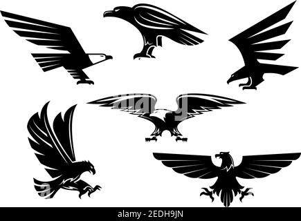 Vogelsymbole eingestellt. Vektor Wappentier Adler oder Falke isoliert Emblem. Gotisches oder kaiserliches Raubfalkensymbol mit offenen ausgebreiteten Flügeln und scharfen Kupplungen. E Stock Vektor