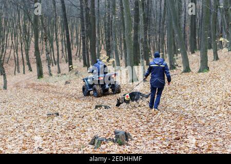 Ein Retter mit einem Hund an der Leine sucht im Wald, ein Retter auf einem ATV sucht auch. Suche nach einem Mann im Wald Stockfoto
