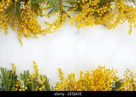 Rahmen von gelben Mimosen Blumen auf Marmor Background. Federkonzept. Flach liegend. Draufsicht. Stockfoto