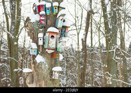 Gruppe von schönen bunten hölzernen Vogelhäusern mit Dächern bedeckt Bei Schnee im Wald oder Park im Winter Stockfoto