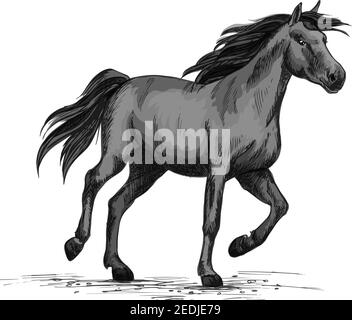 Pferderennen auf Sportrennen. Wild schwarz Rennpferd Mustang läuft schnell Galopp. Pferderennen Vektor Symbol Skizze für Pferd oder Reitausstellung oder Stock Vektor