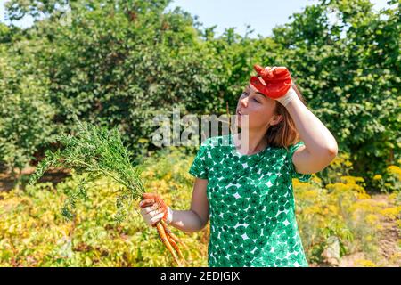 Eine kaukasische junge Frau wischt müde den Schweiß von ihrer Stirn und hält ein Bündel frisch gepflückter Karotten in den Händen. Vegetation im Hintergrund Stockfoto