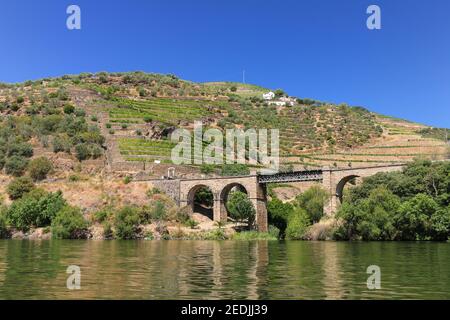 Blick vom Douro-Tal auf die Weingärten auf den Hügeln, die berühmten Portwein produzieren, Porto, Portugal Stockfoto