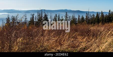 Moravskoslezske Beskiden mit dem höchsten Lysa hora Hügel aus dem Wald Lichtung unten Velka Cantoryje Berggipfel im Herbst Slezske Beskydy Berge Stockfoto