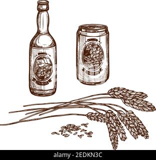 Bier und Malz Vektor Skizze von Fassbier Flasche und Lagergetränk in Dose, isolierte Bierbrauerei Zutat Hopfen oder Weizen oder Gerste Korn Ohren und ein Stock Vektor