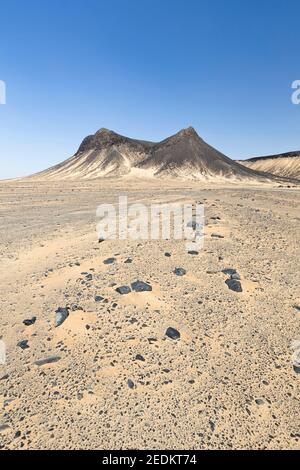 Schwarze Wüste, westliche libysche Wüste, Ägypten Stockfoto