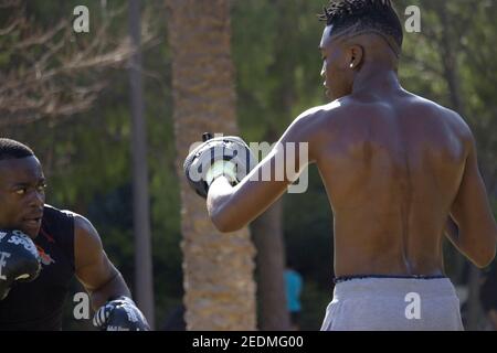 Professionelle Black Boxer trainiert Black Boxer Anfänger mit Boxhandschuhen einen Outdoor Boxkurs an einem sonnigen Tag, während sie beide schwitzen. Boxkonzept Stockfoto