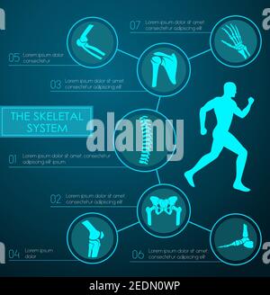 Medizinische Infografik des menschlichen Skelettsystems. Anatomiekarte mit Bein, Hand, Fuß, Knie, Wirbelsäule, Becken, Schulter, Ellenbogenknochen und Gelenken der menschlichen Skele Stock Vektor