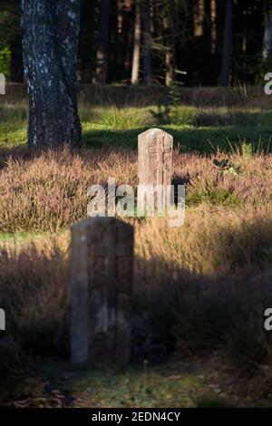 20,09.2020, Lohheide, Niedersachsen, Deutschland - Kriegsgefangenenfriedhof an der Gedenkstätte Bergen-Belsen. Hier liegen sowjetische Soldaten, die gefoltert wurden Stockfoto