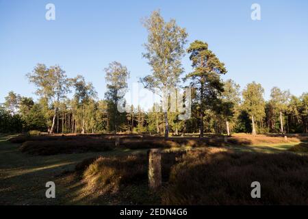 20,09.2020, Lohheide, Niedersachsen, Deutschland - Kriegsgefangenenfriedhof an der Gedenkstätte Bergen-Belsen. Hier liegen sowjetische Soldaten, die gefoltert wurden Stockfoto